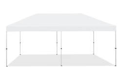 10' x 20' Tent