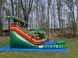 IMG 9565 1746123748 15' Tropical Oasis Water Slide