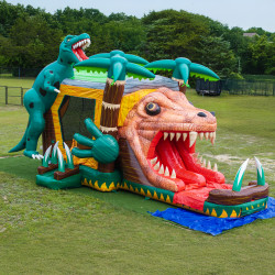 DJI 20250505110132 0038 D 1767331068 Dinosaur Combo