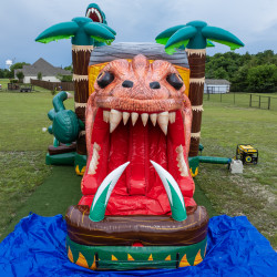 DJI 20250505110207 0041 D 1767331069 Dinosaur Combo