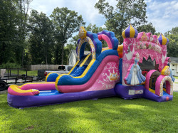 IMG 7862 1755272720 Diamond Princess Combo